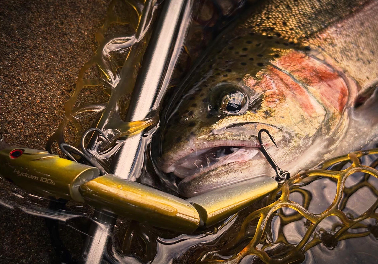 Hydram 100S（ハイドラム 100シンキング） | HARDBAITS | ValkeIN