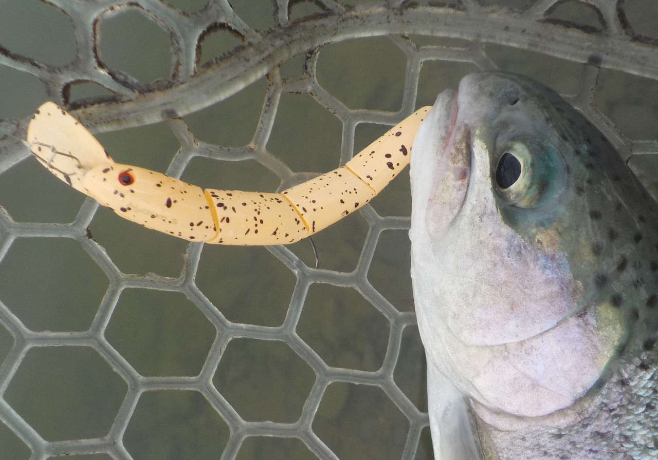 ポイントのイメージ画像