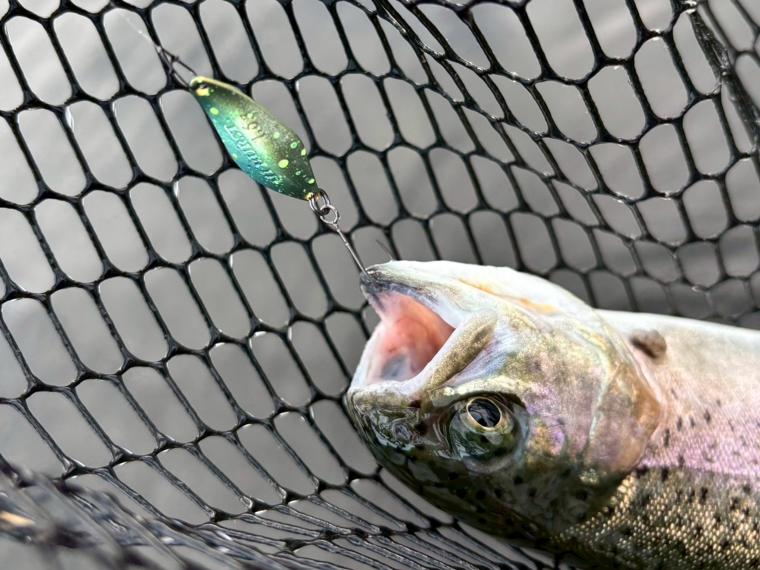 回遊と居つきを視野に<br>変化を追う。