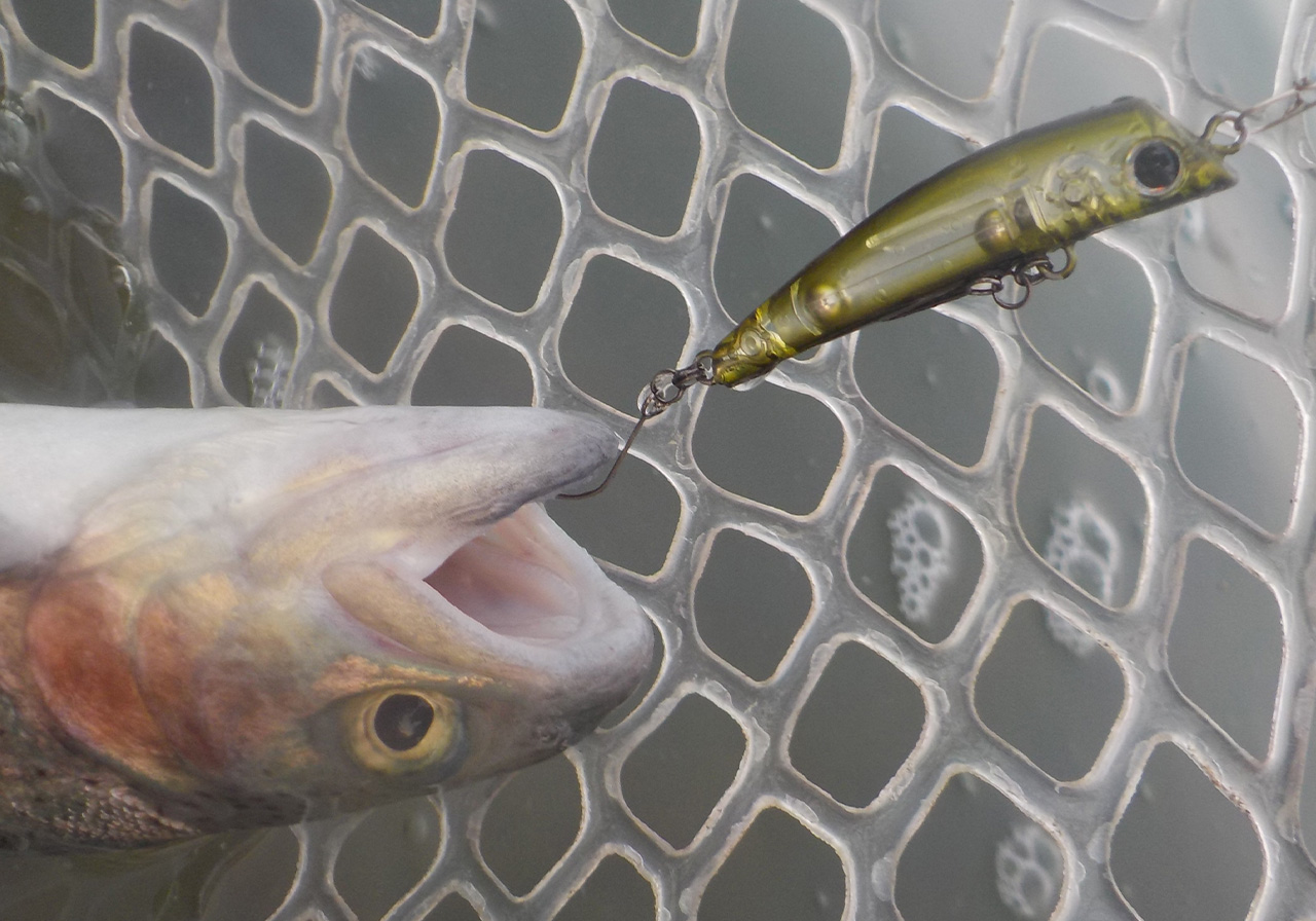 JuJu（ジュジュ スローシンキング） | HARDBAITS | ValkeIN ヴァルケイン