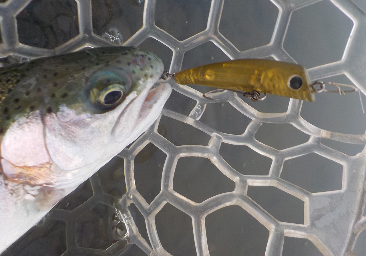 JuJu（ジュジュ スローシンキング） | HARDBAITS | ValkeIN ヴァルケイン