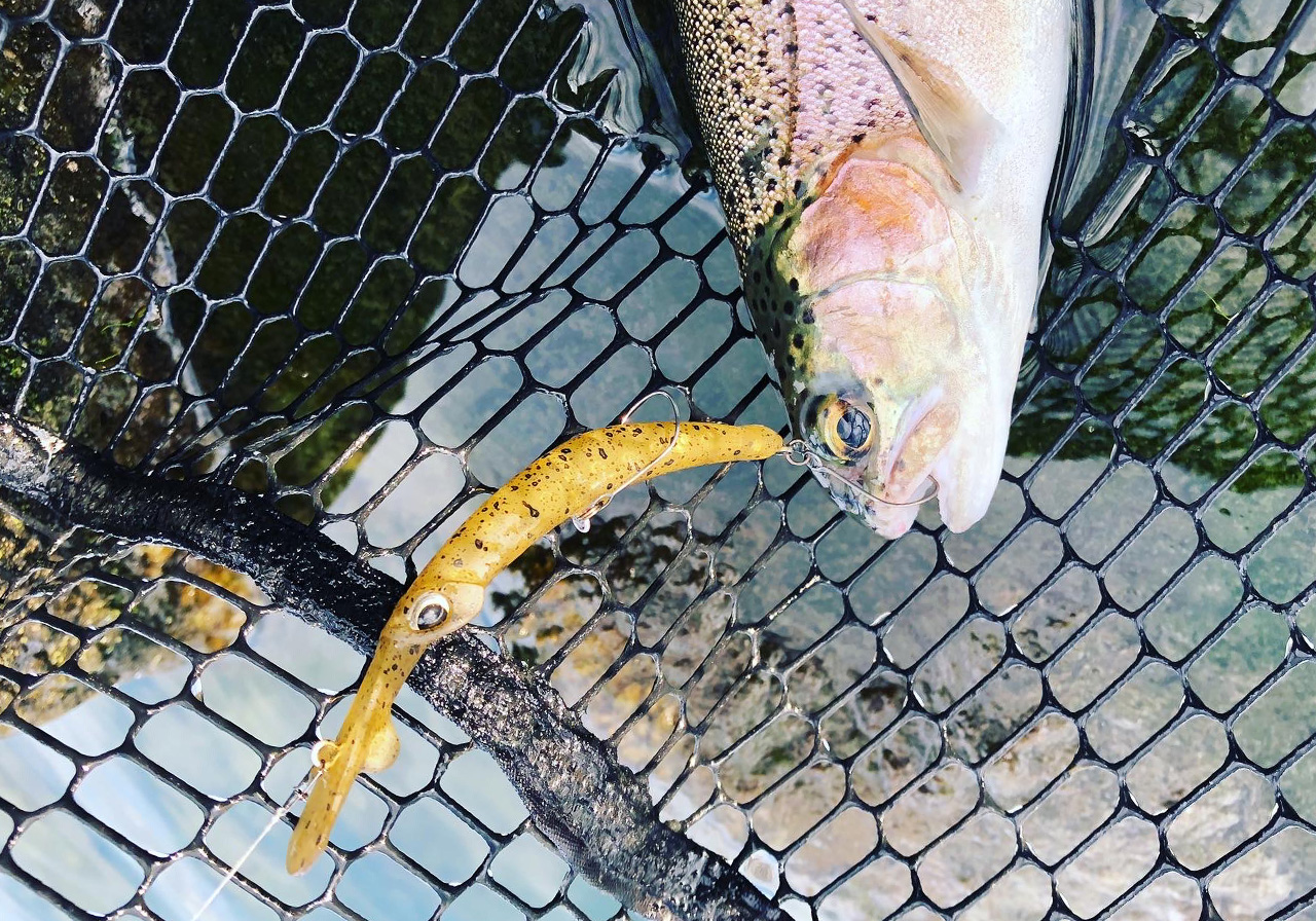 ポイントのイメージ画像