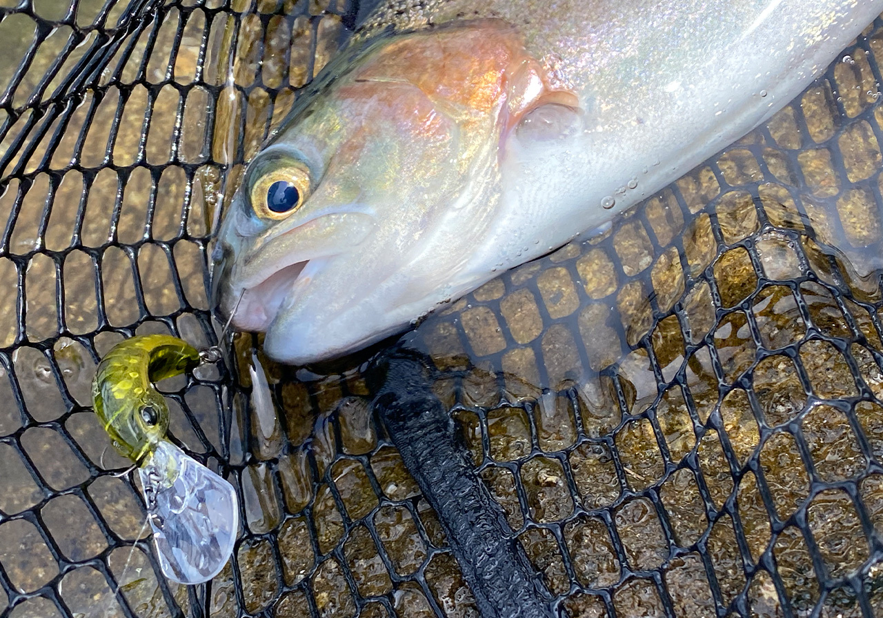 パフォーマンスのイメージ画像