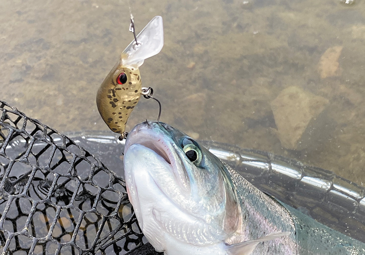 KuGa FFS（クーガ フラット ファスト シンキング） | HARDBAITS