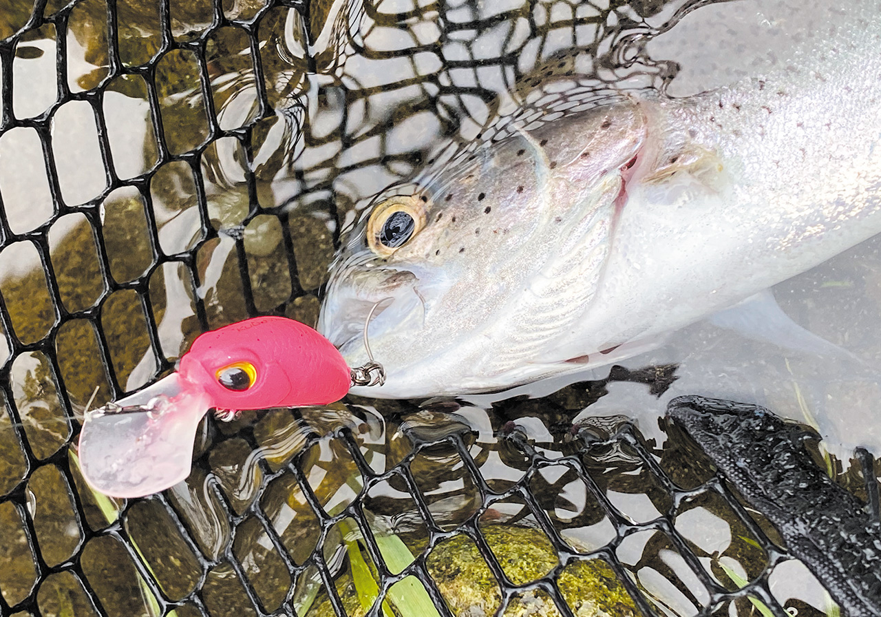 ポイントのイメージ画像