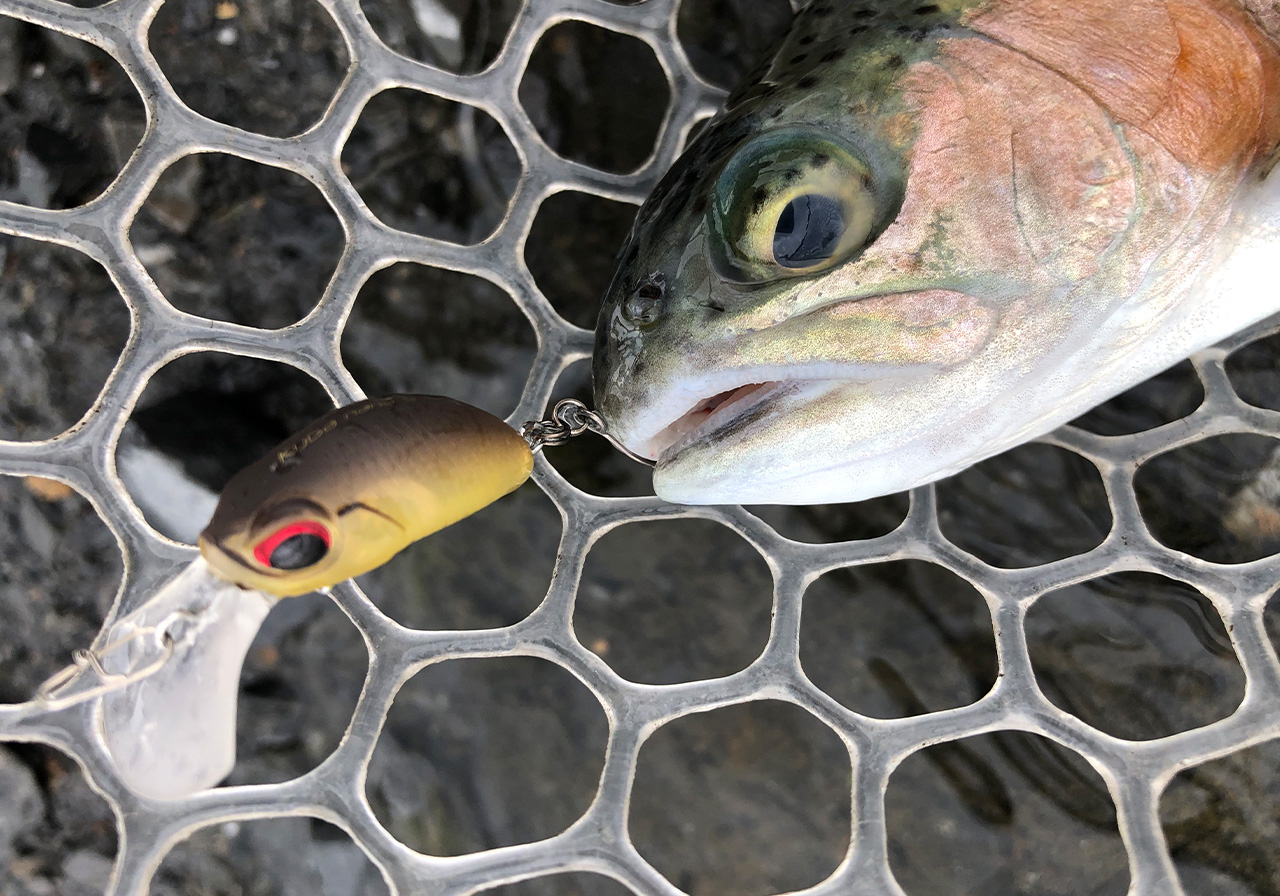 ポイントのイメージ画像