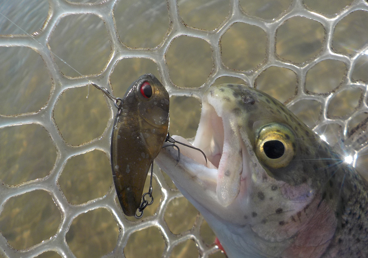 ポイントのイメージ画像