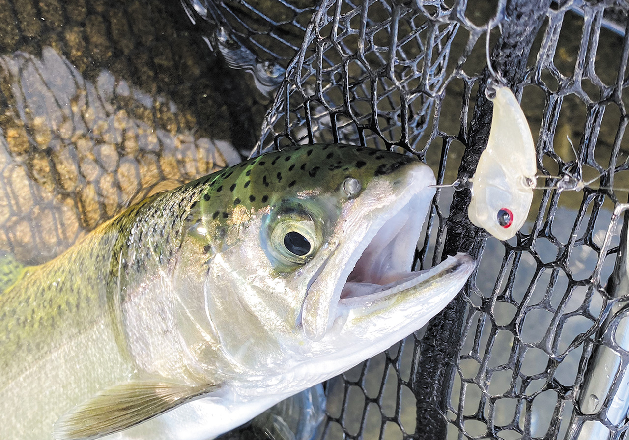 ポイントのイメージ画像