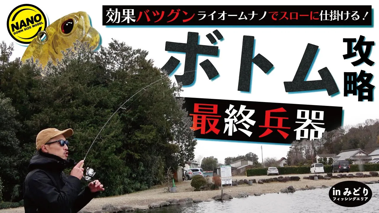 Li-wormの動画サムネイル