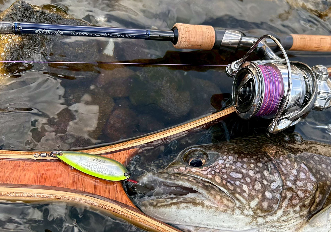 ポイントのイメージ画像