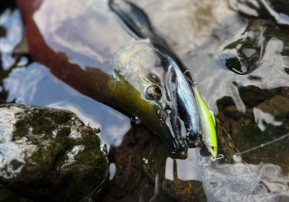 ポイントのイメージ画像