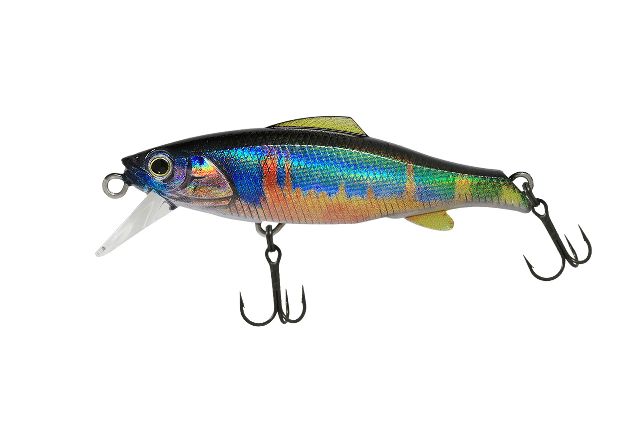 RaXma 55Sのイメージ画像