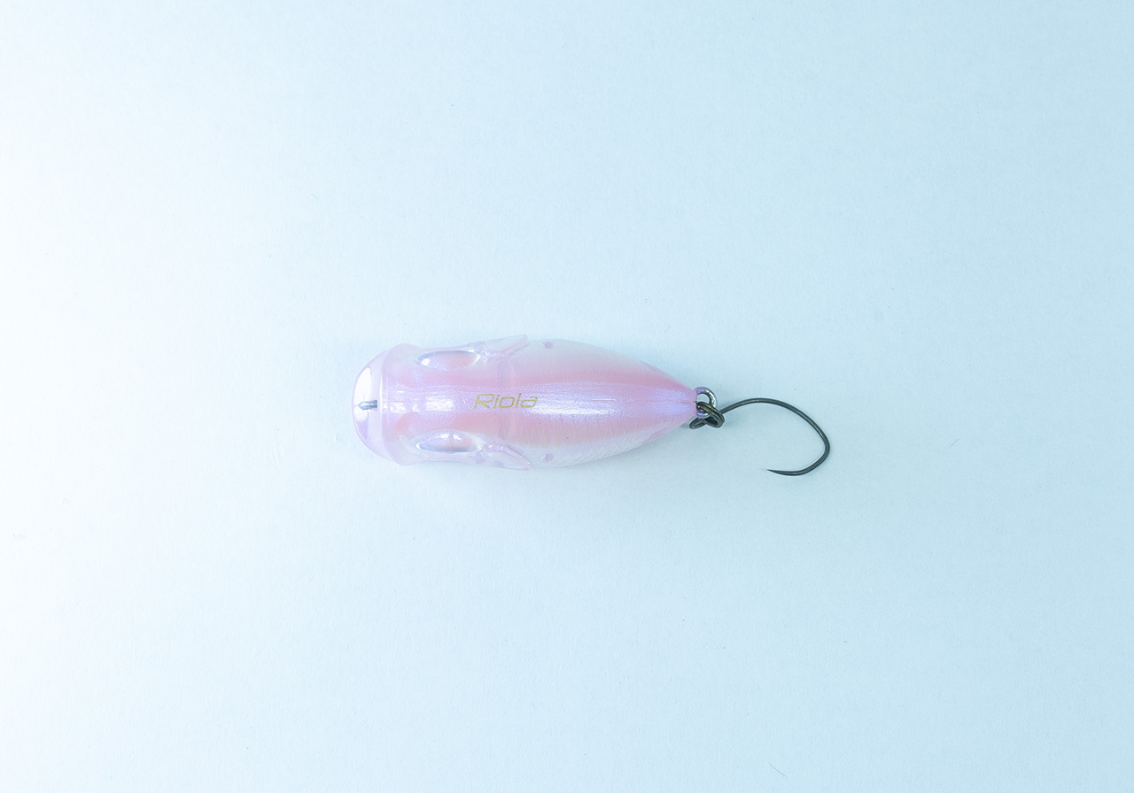 Riolaのイメージ画像