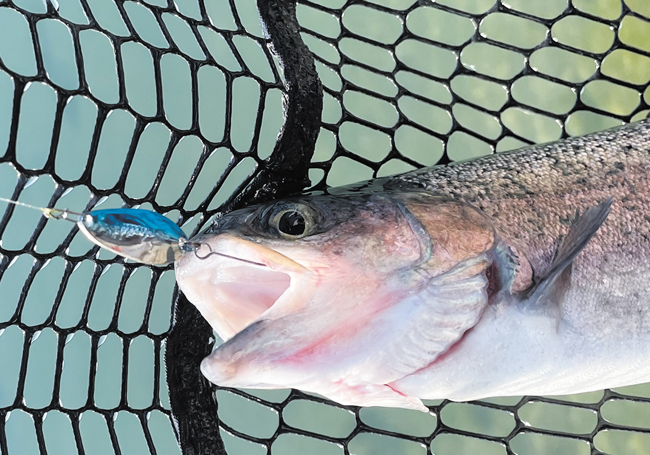 パフォーマンスのイメージ画像