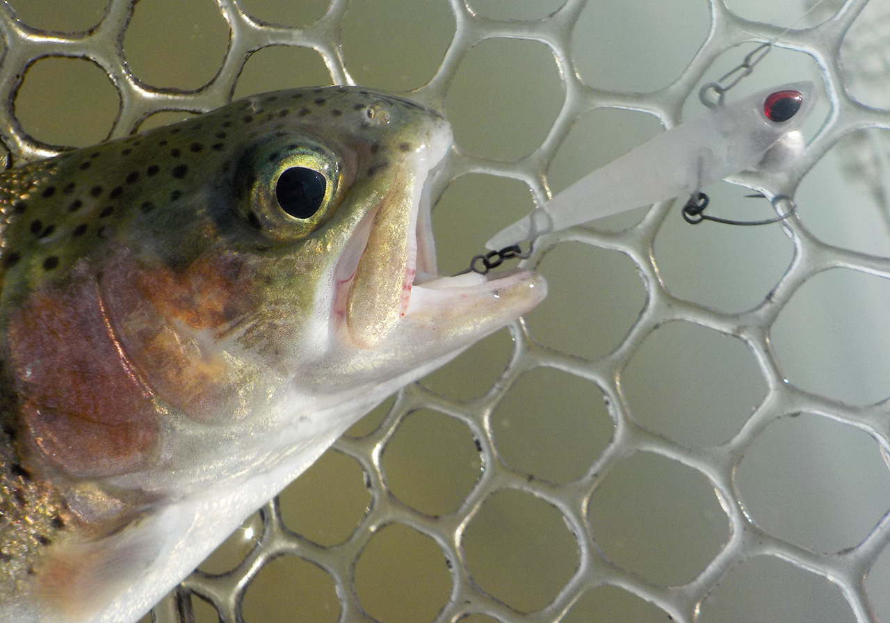 ポイントのイメージ画像