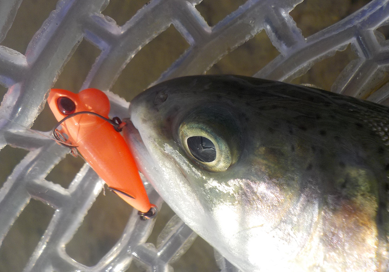 Shine Ride nano（シャインライド ナノ） | HARDBAITS | ValkeIN