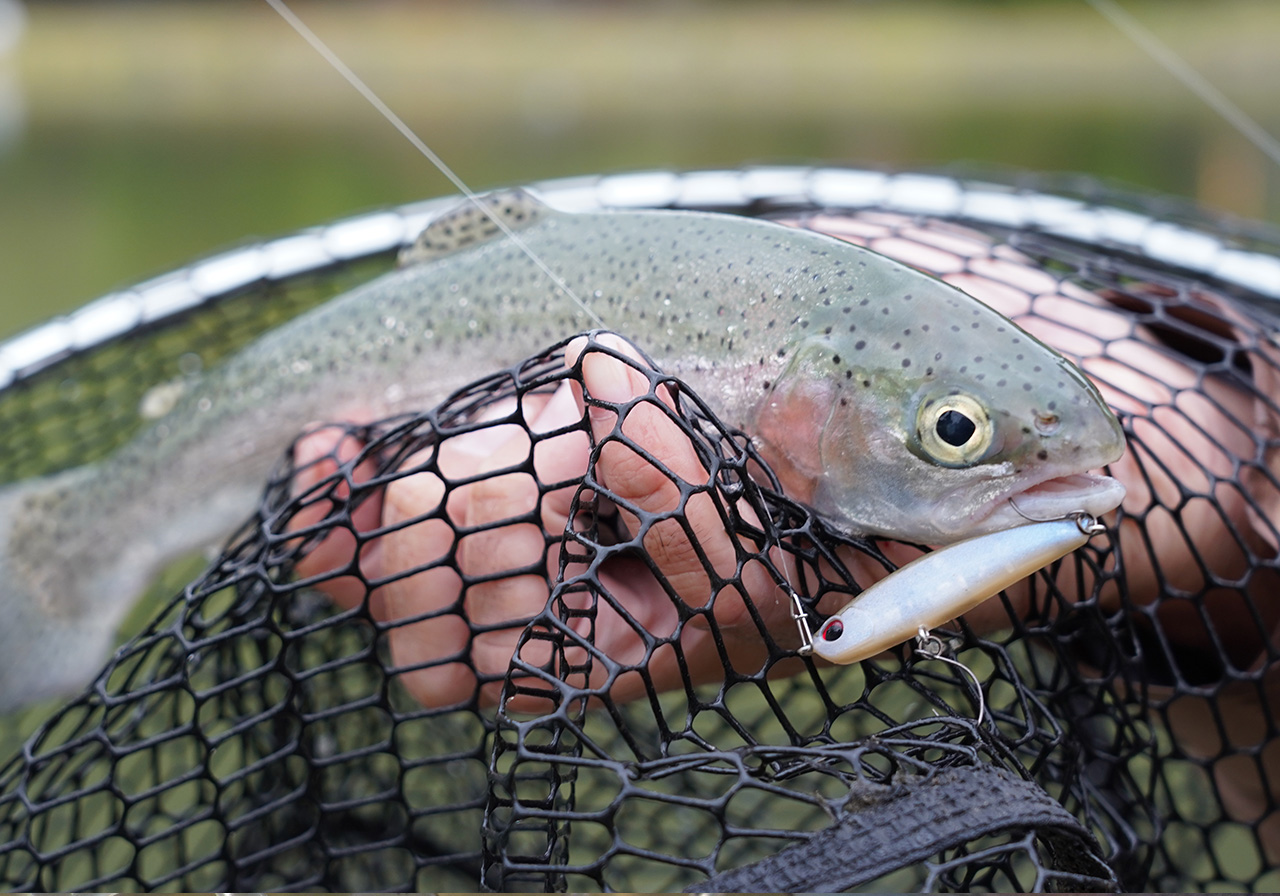 ポイントのイメージ画像