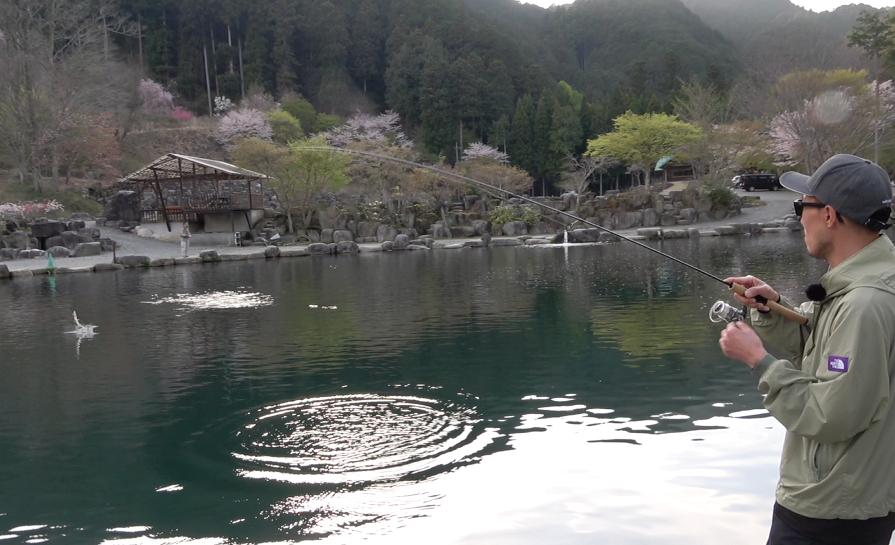 【動画公開】<br>6色のロジック｜発光路の森