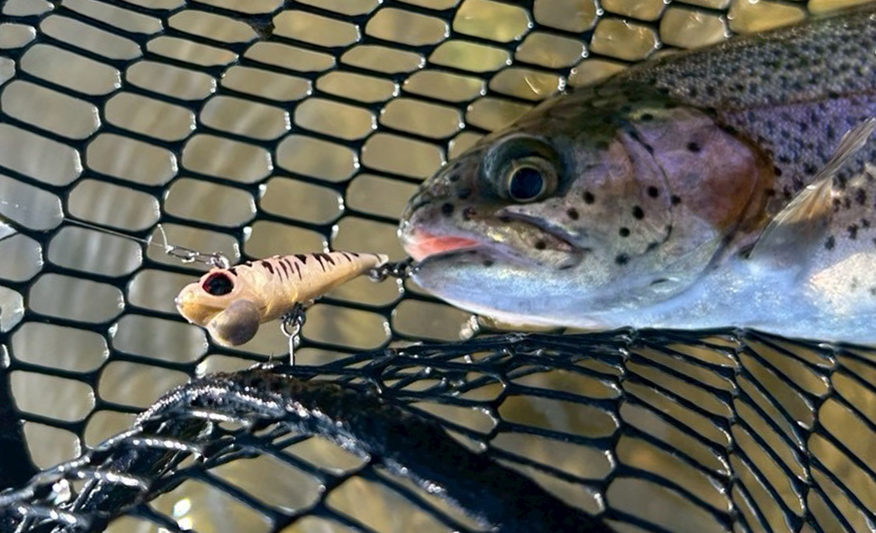 水戸南FA再攻略<br>冷え込み×濁りのボトム