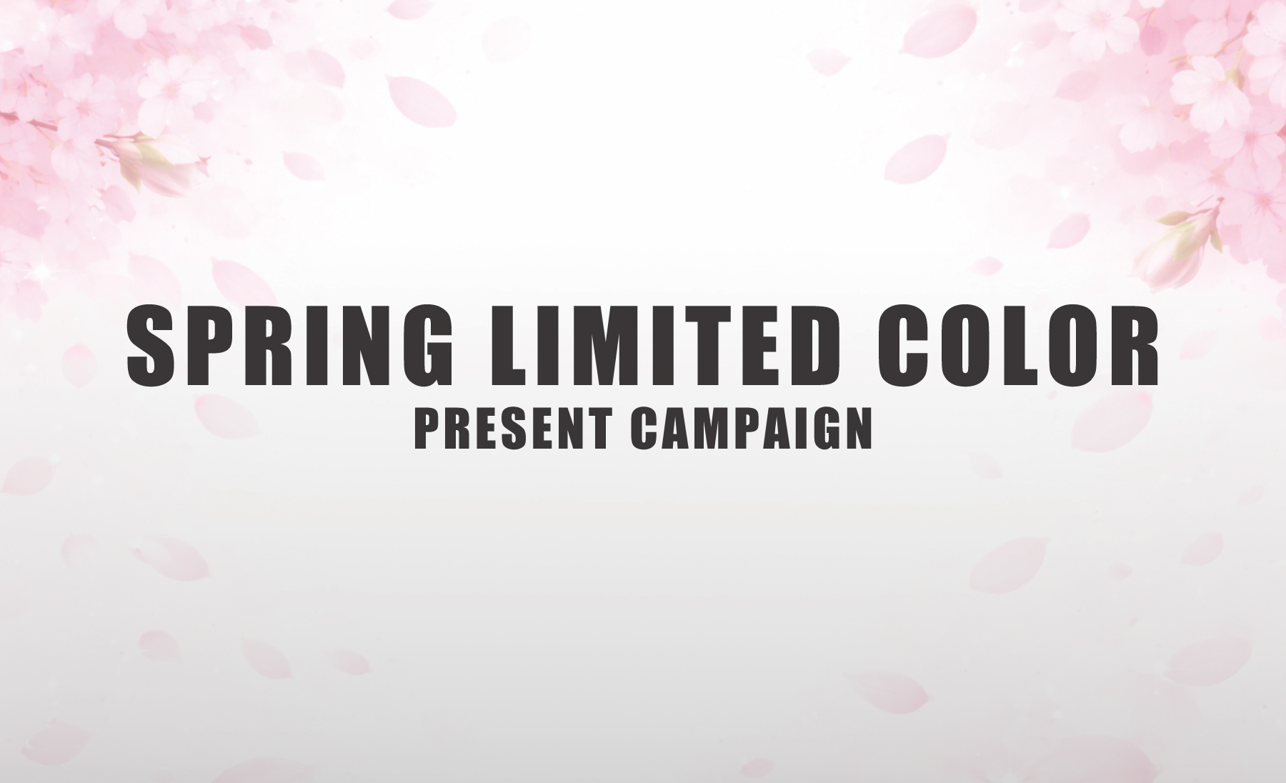 SPRING LIMITED COLOR<br>PRESENT CAMPAIGN