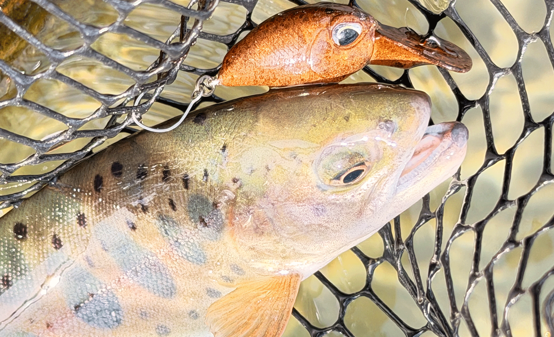 パフォーマンスのイメージ画像