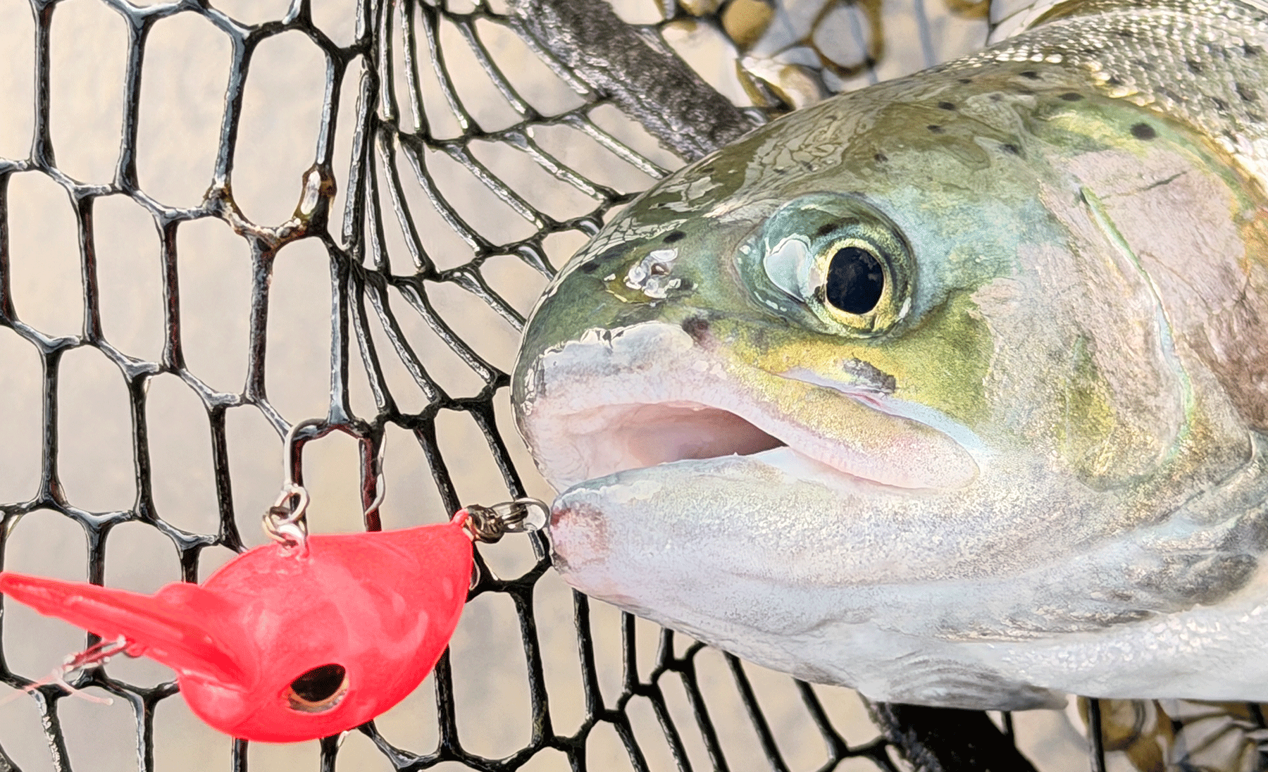 ポイントのイメージ画像