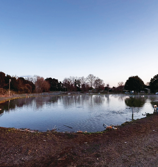 視覚で組み立てる釣りレンジを固定する選択。