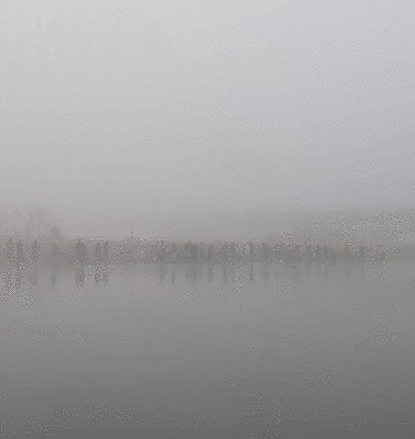 ヴァルケイン/アングラーズシステム/TORAYカップ　結果