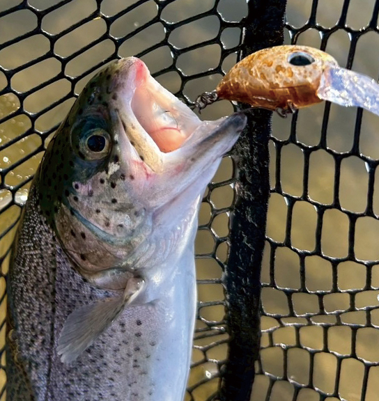 水戸南FA再攻略冷え込み×濁りのボトム