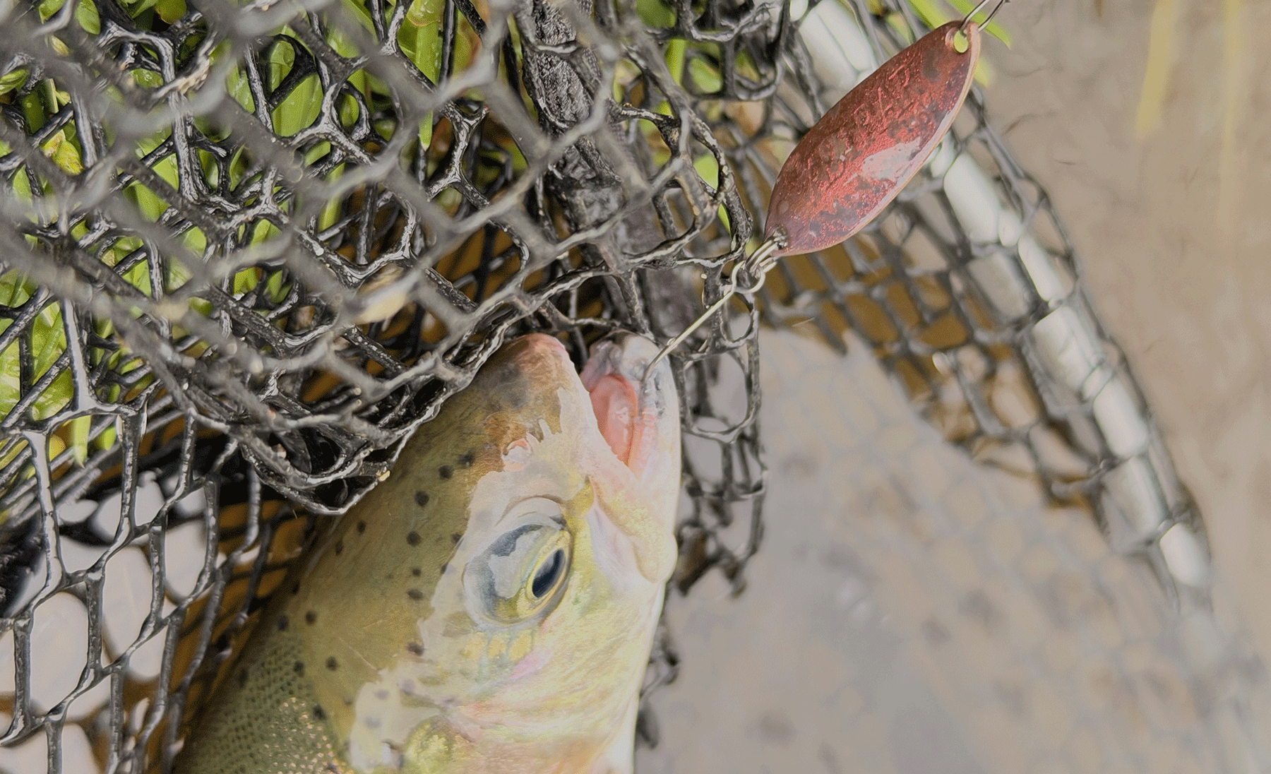 パフォーマンスのイメージ画像