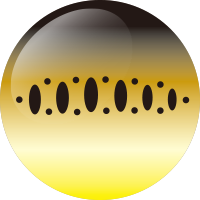 C269 クロキンヤマメ