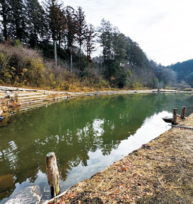 秘境で挑む<br>クランクサーチ