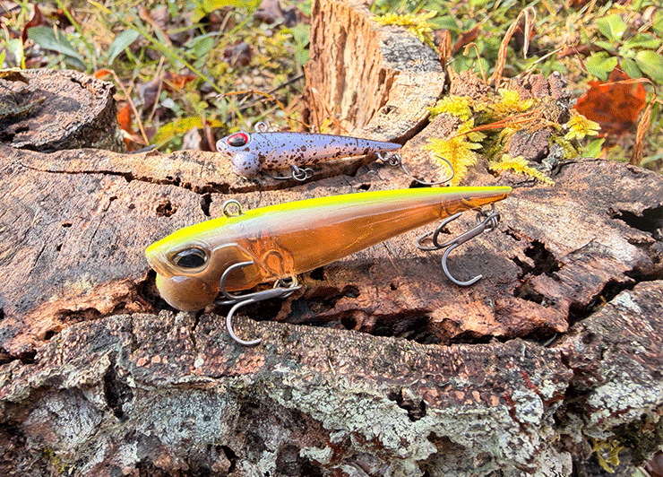 Shine Ride 70（Level Ondine）