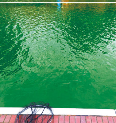 カレントを制す<br>ブラインドゲーム