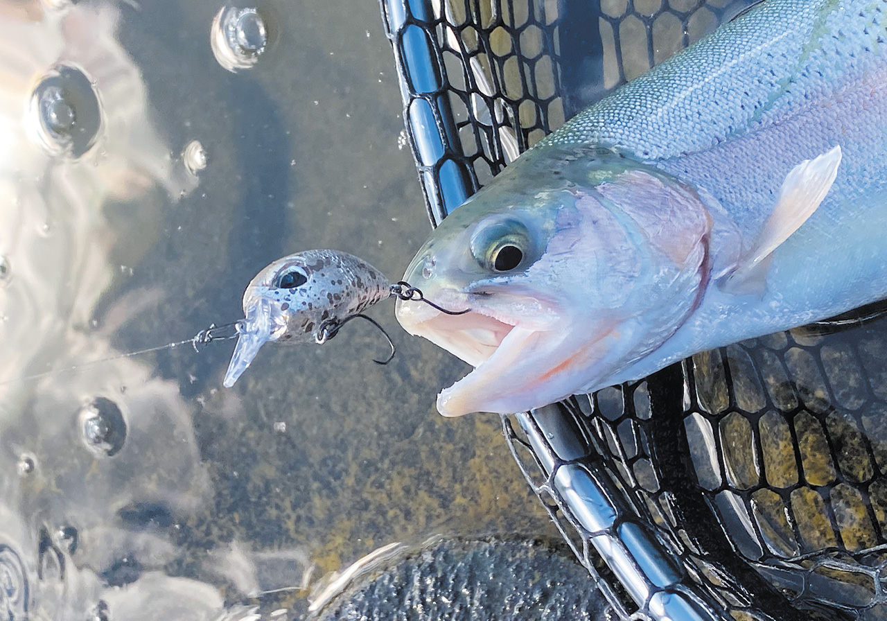 パフォーマンスのイメージ画像