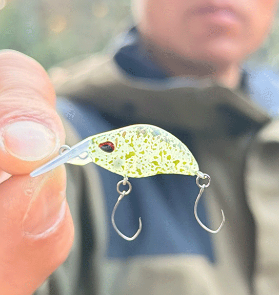 トラウトキング選手権大会　地方予選３位入賞レポート