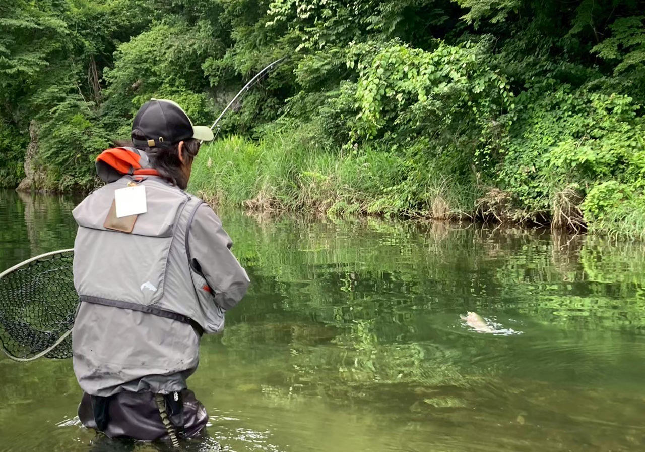 パフォーマンスのイメージ画像