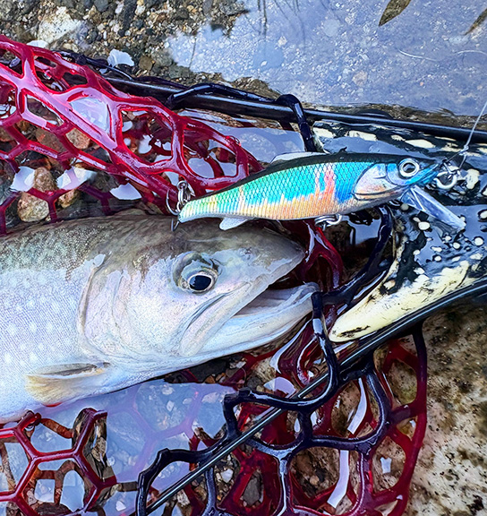 魚影の濃さに頼らず、見えない可能性を探る。
