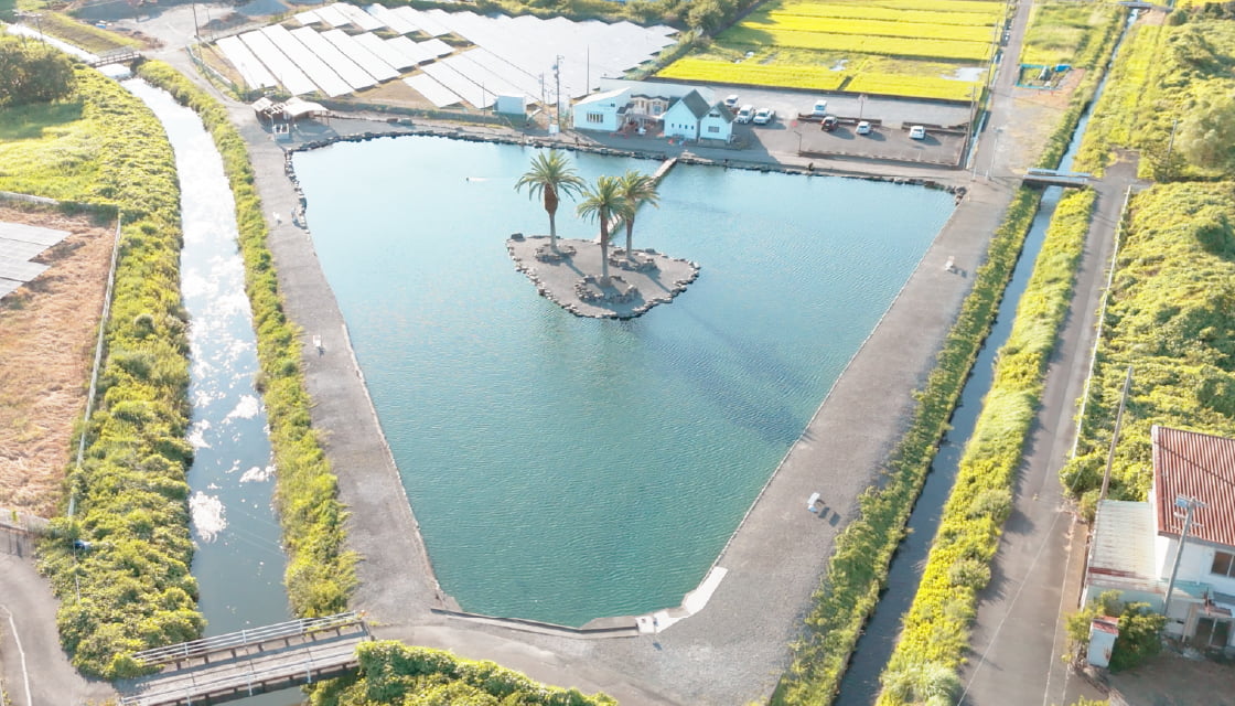 フィッシングパーク アルクスポンド焼津