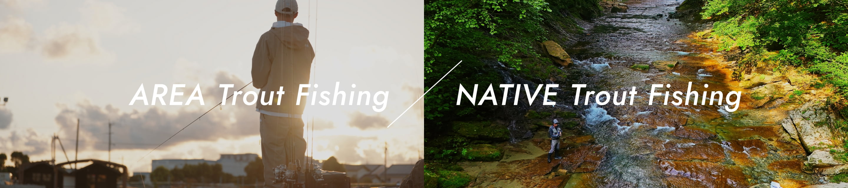 AREA Trout Fishing / NATIVE Trout Fishing