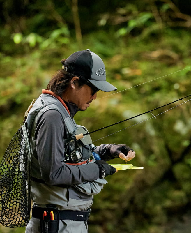 ヴァルケインの画像