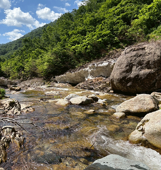野生味溢れるアグレッシブバイトを体感、群馬県山岳渓流釣行