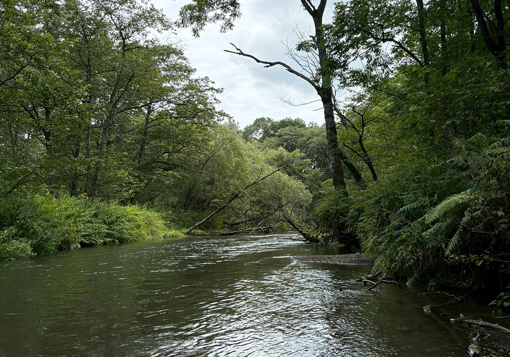 北海道・道東へのスケール全開遠征