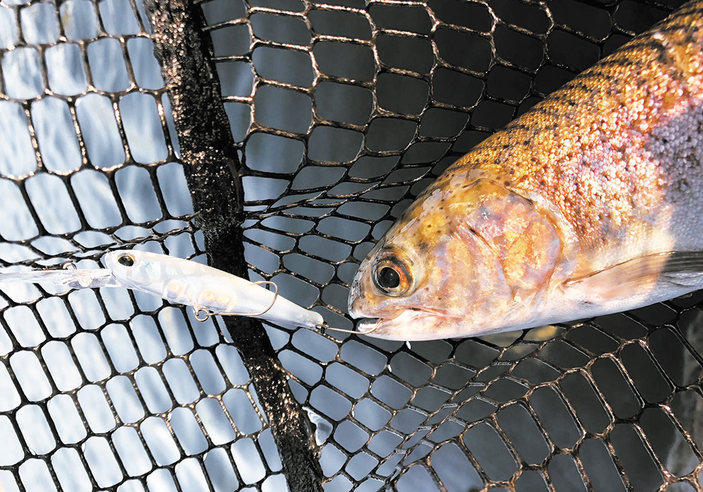 ポイントのイメージ画像