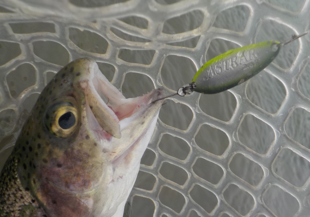 ポイントのイメージ画像