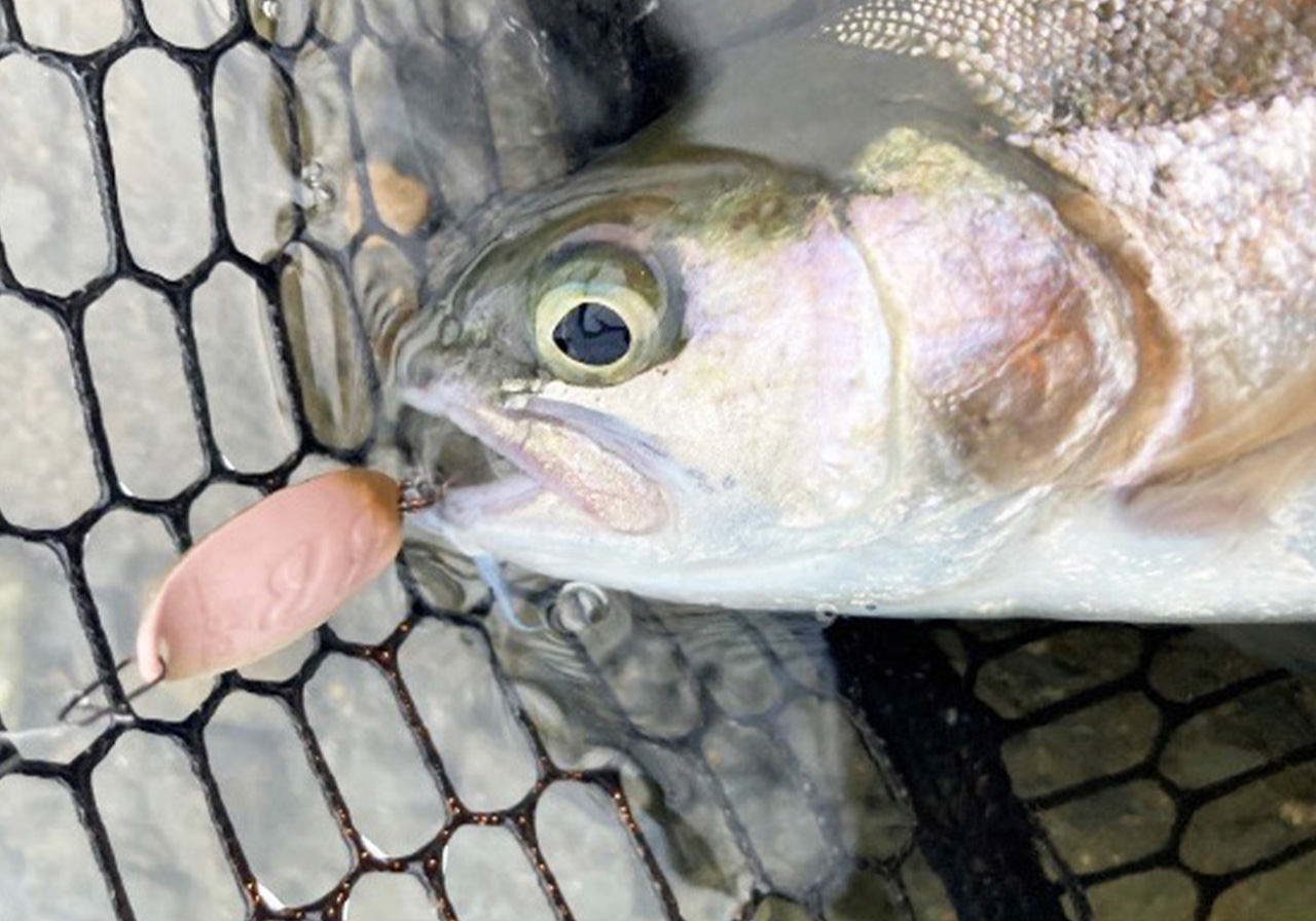 ポイントのイメージ画像