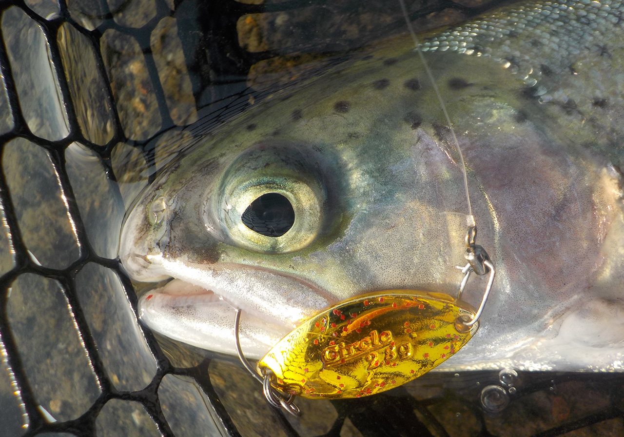 パフォーマンスのイメージ画像