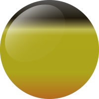 C070 クロキンオレンジベリー