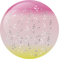 C129 スターフロー