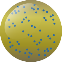 C214 アクティブマスタード